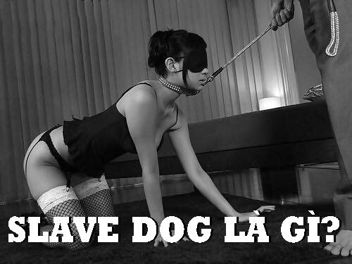 slave dog loveshopaz 1