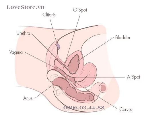 10+ cách thủ dâm nữ sung sướng tột độ trong vòng 1 nốt nhạc 5 thu dam nu loveshopaz 3 1