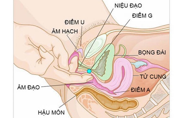 Cách quan hệ bằng tay khiến nàng sung sướng đê mê 6 cach quan he bang tay loveshopaz 6