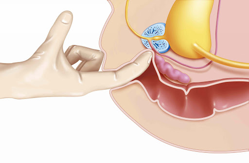 Cách thủ dâm hậu môn dễ chịu cho người mới 1 thủ dâm hậu môn