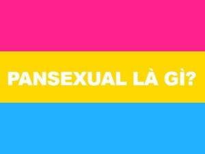 pansexual la gi loveshopaz