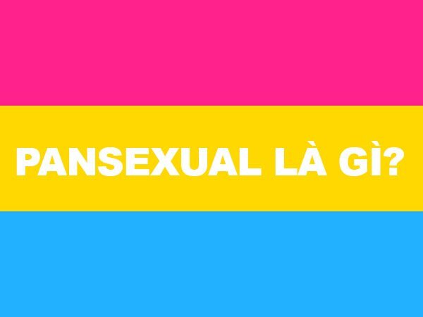 Pansexual là gì? Những điều cần biết về người toàn tính luyến ái 25 pansexual la gi loveshopaz