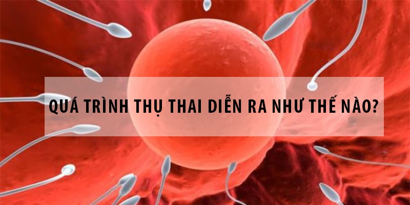 Bật mí các tư thế quan hệ khó có thai nhất 1 tu the quan he kho co thai loveshopaz 1